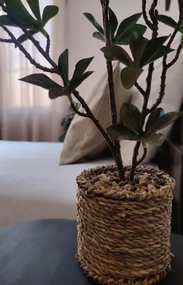 a basket with two plants on a table at C&S Apartment Fierro in Cusco