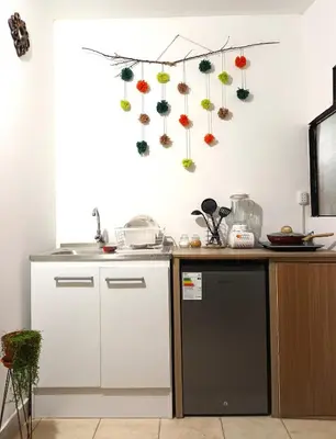 a kitchen with a counter with a dishwasher and some flowers on the wall at Hanan Pacha in Cusco