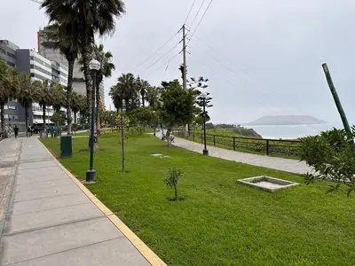 a park with green grass and palm trees and a sidewalk at Ama Loft Miraflores in Lima