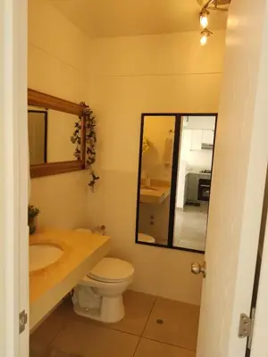 a bathroom with a toilet and a sink and a mirror at Departamento Costa Verde San Miguel in Lima