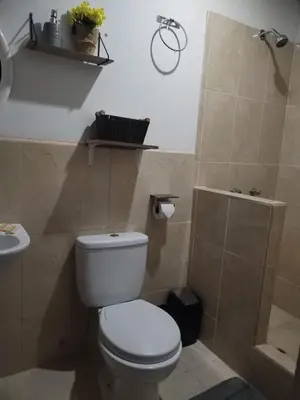 a bathroom with a white toilet and a shower at Hospedaje Vientos in Paracas