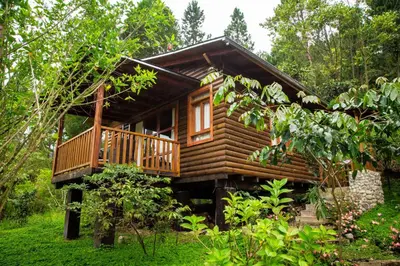 a wooden cabin in the woods with trees at Altares de Oxapampa in Oxapampa