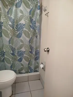 a bathroom with a toilet and a shower curtain at Like a Home - Barranco in Lima