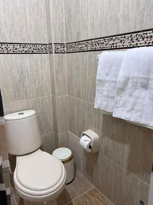 a bathroom with a toilet and a roll of toilet paper at Misi House Hostal in Lima