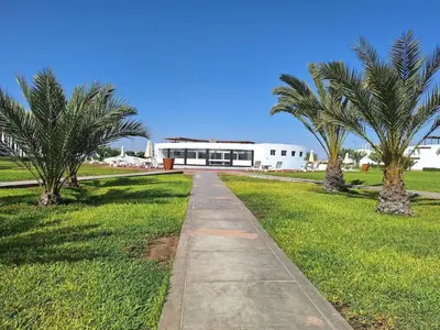 a sidewalk in front of a building with palm trees at Paracas Exclusivo Departamento familiar in Pisco