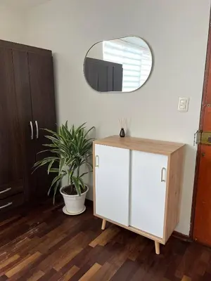 a white cabinet with a mirror and a potted plant at Prescott Apartment San Isidrio in Lima