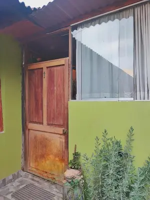 a wooden door in a green house with a window at Wonderful Full House in Ollantaytambo