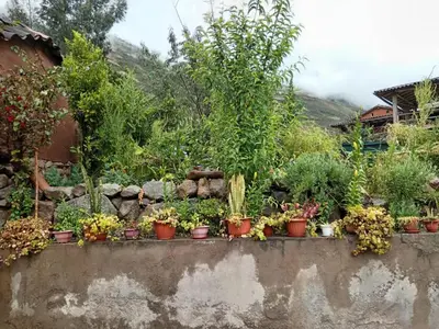 a garden with potted plants on a wall at Huilka Mayu in Urubamba