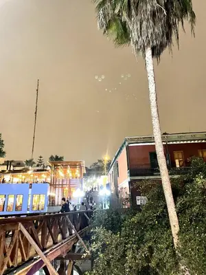 a train on a bridge with a palm tree at Private cinema & comfort in cultural Barranco in Lima