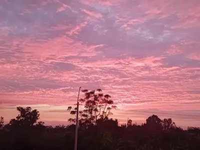 a sunset with a palm tree in the foreground at Casa Sunampe Chincha in Sunampe