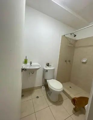 a bathroom with a toilet and a shower and a sink at Acogedora habitación in Lima