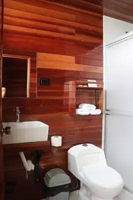 a bathroom with a white toilet and a sink at Alpinas Natural Suites in Lunahuaná