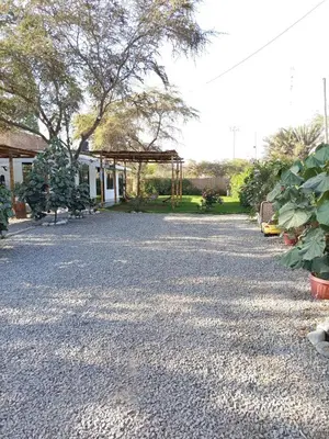 a gravel driveway with a pavilion in a yard at Casa rústica in Ica