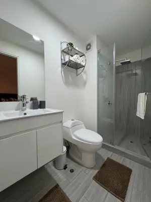 a white bathroom with a toilet and a shower at Amalfi Apartment 612 Malecón de la Avenida Costanera in Lima