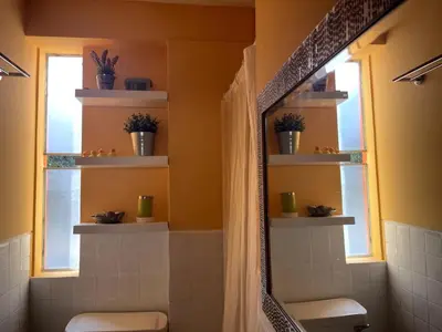 a bathroom with a toilet and a window with plants at Confortable and central in Lima