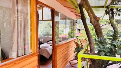 a room with a tree inside of a house at Casa llegada del Sol in Ollantaytambo