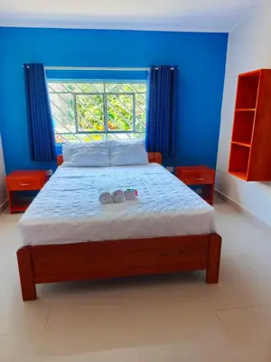 a bedroom with a bed with blue walls and a window at Alojamiento Oslo San Ramón in San Ramón