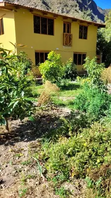 a yellow house with a bunch of bushes in front of it at Lavanda lodge Ollantaytambo in Ollantaytambo