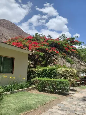a house with red flowers on top of it at Casa de Campo en Santa Rosa de Quivez in Santa Rosa de Quives