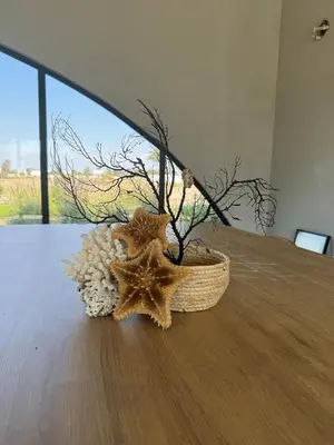 a plant in a basket on a table at Beautiful house with pool in Oasis Bahía de Paracas in Las Palmeras