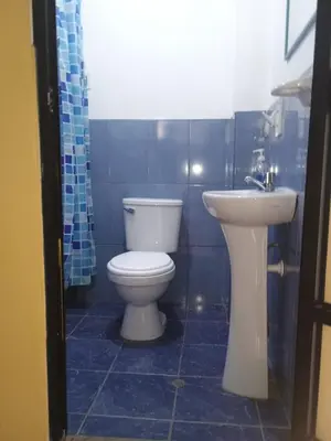 a bathroom with a toilet and a sink at Refugio del Caminante in Ollantaytambo