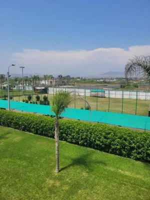 a palm tree in the middle of a park at Casa de playa Cala del Mar Experience in Bujama Baja