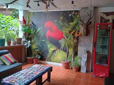 a mural of a red bird on a wall with plants at Hostal Killari Machupicchu in Machu Picchu