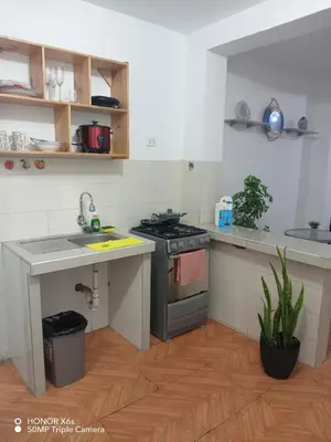 a small kitchen with a stove and a sink at Mini Depa km 43 Punta hermosa in Punta Hermosa