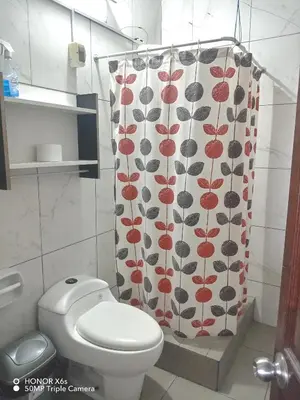a bathroom with a toilet and a shower curtain at Mini Depa km 43 Punta hermosa in Punta Hermosa