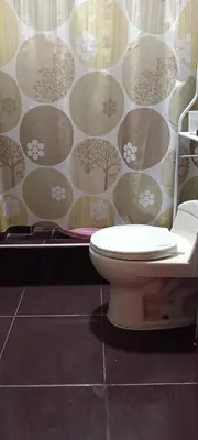 a bathroom with a toilet and a shower curtain at Casa del Olivar Pisco in Pisco