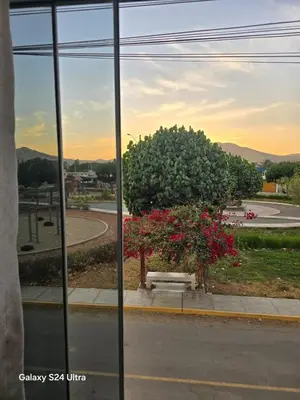 a window view of a park with a bench and flowers at La Casa de la Emperatriz in Ica