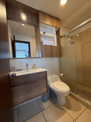 a bathroom with a toilet and a sink and a shower at Departamento Graña in Lima