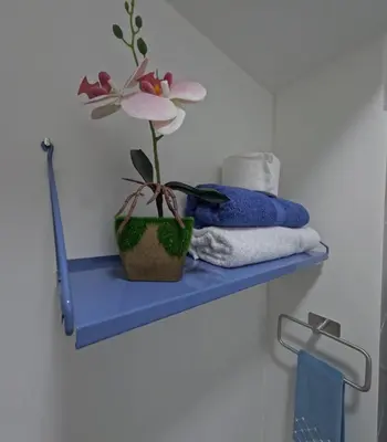 a bathroom shelf with a plant and towels on it at Apartamento nuevo en San Bartolo con vista al mar in San Bartolo