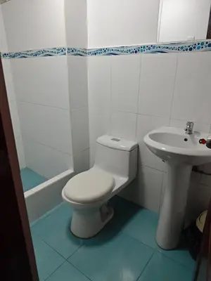 a bathroom with a toilet and a sink at Oxapampa Center Room- habitacion centro in Oxapampa
