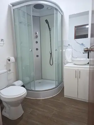a bathroom with a shower and a toilet and a sink at room rent in Lima