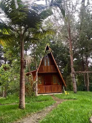 a small cabin in the woods with a palm tree at Cabañas Vivenciales La Colina in Oxapampa