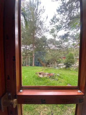 a window with a view of a field of grass at Cabañas Vivenciales La Colina in Oxapampa