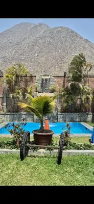 a plant in a pot in front of a building at Inka Palace Resort in Santa Eulalia