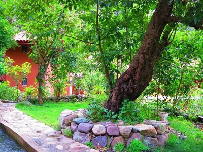 a tree and a stone wall in front of a house at Birds Hotel Molino in Ollantaytambo