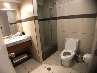 a bathroom with a shower and a toilet and a sink at MLA apartments - Kennedy in Lima
