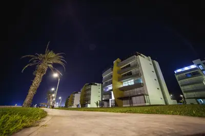 a palm tree next to a building at night at Paracas vista al mar in Paracas