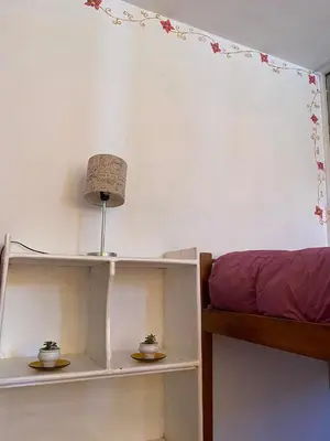 a room with a bed and a shelf with plants at Hostal Chaska Wasi in Ollantaytambo