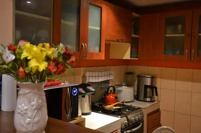 a kitchen with a vase of flowers on a counter at Suspiros del Inka in Lima