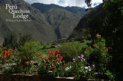 a view of a mountain valley with flowers at Peru Quechua's Lodge Ollantaytambo in Ollantaytambo