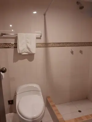 a bathroom with a toilet and a shower at Hotel Las Lomas in Huancayo