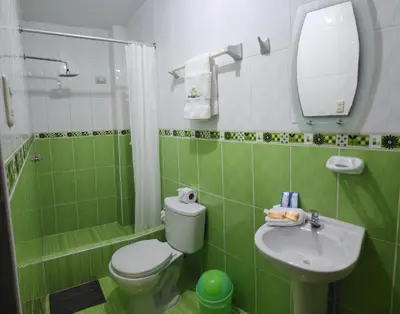 a green bathroom with a toilet and a sink at Starlight Inn in Pisco