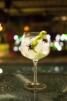 a bird sitting on top of a wine glass at The Upcycled Hostel in Ica