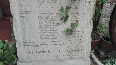 a grave with a plant growing on it at Hotel Museo Casona Ugarte Leon in Concepción