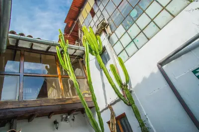 a window on the side of a building at Tucan Hostel in Cusco