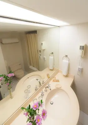 a bathroom with a sink and a toilet and a mirror at Roosevelt Hotel & Suites in Lima